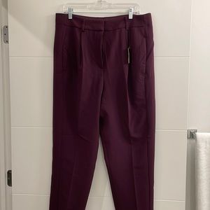 EXPRESS- Dark purple dress pants